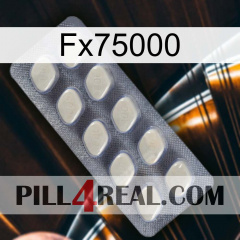 Fx75000 08